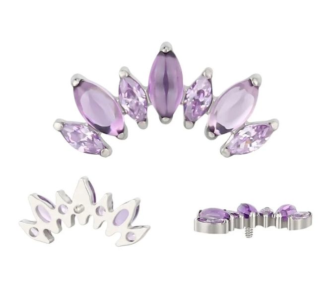 Hovedbilde Bloom Amethyst Titan Labret