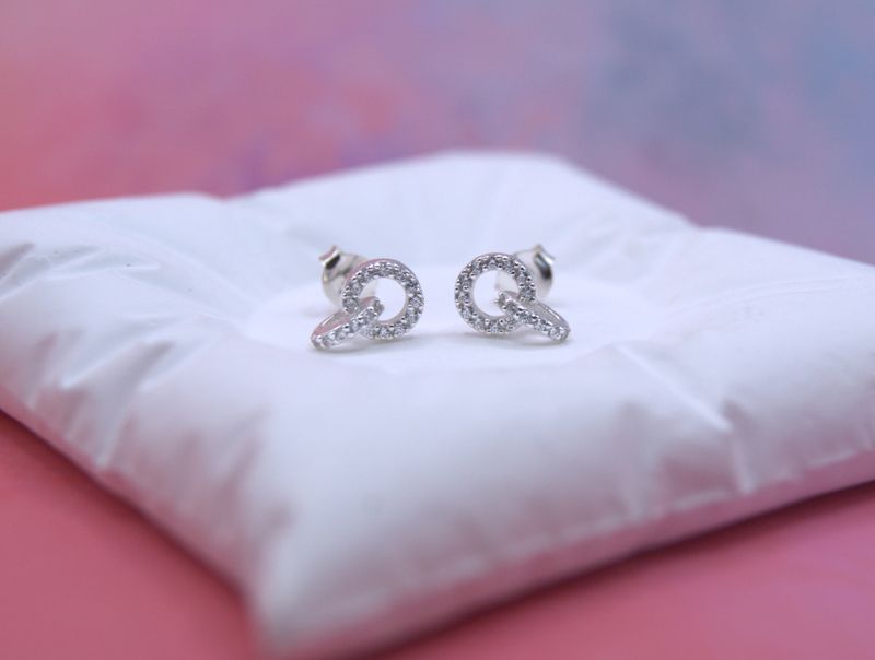 Silver Duo Circle Øredobber