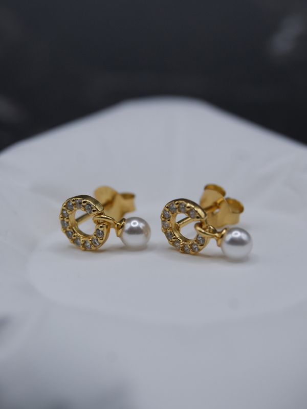 Golden Circle & Pearl Øredobber